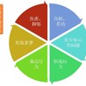 河北廊坊三河市社区保定青少年心理咨询多少钱,保定青少年心理疏导