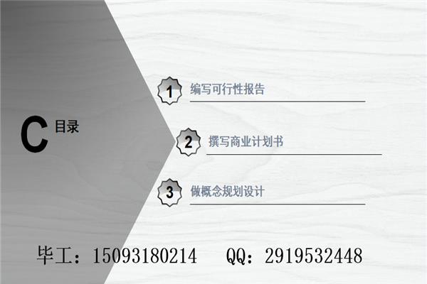 合肥可行性报告-做报告